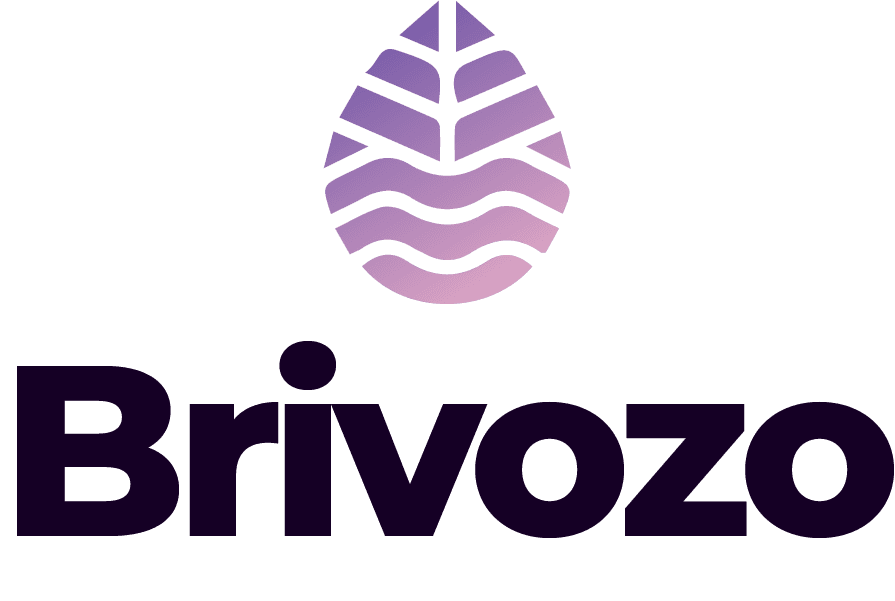 brivozo.com